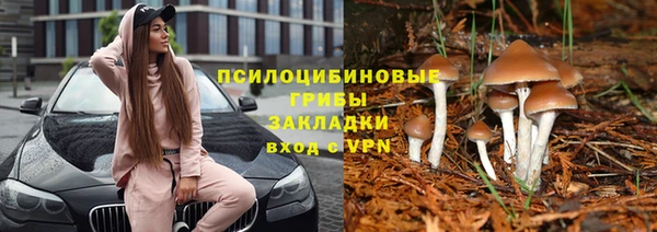 герыч Верея