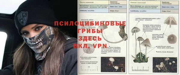 тгк Верхнеуральск